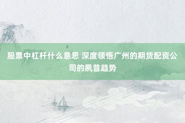 股票中杠杆什么意思 深度领悟广州的期货配资公司的夙昔趋势