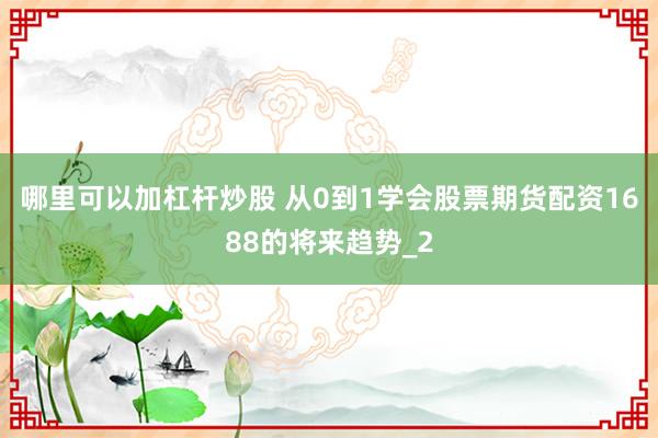 哪里可以加杠杆炒股 从0到1学会股票期货配资1688的将来趋势_2